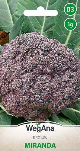 Brokuł Miranda 1 g
