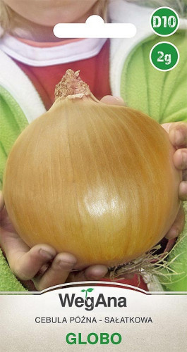 Cebula Globo 2g