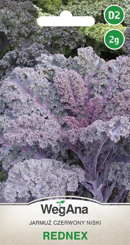 Jarmuż Rednex 2 g