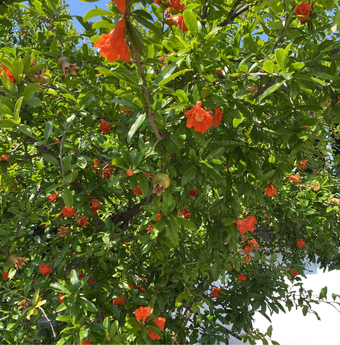 Kilka słów o firmie