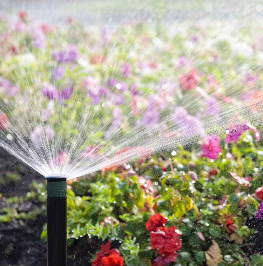 profesjonalne systemy zraszające